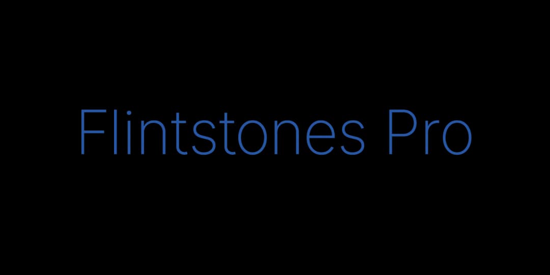 Flintstones Pro