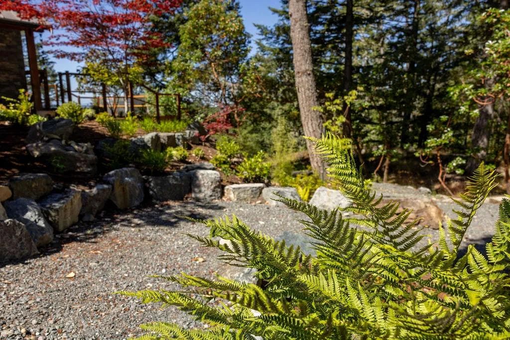 Sooke